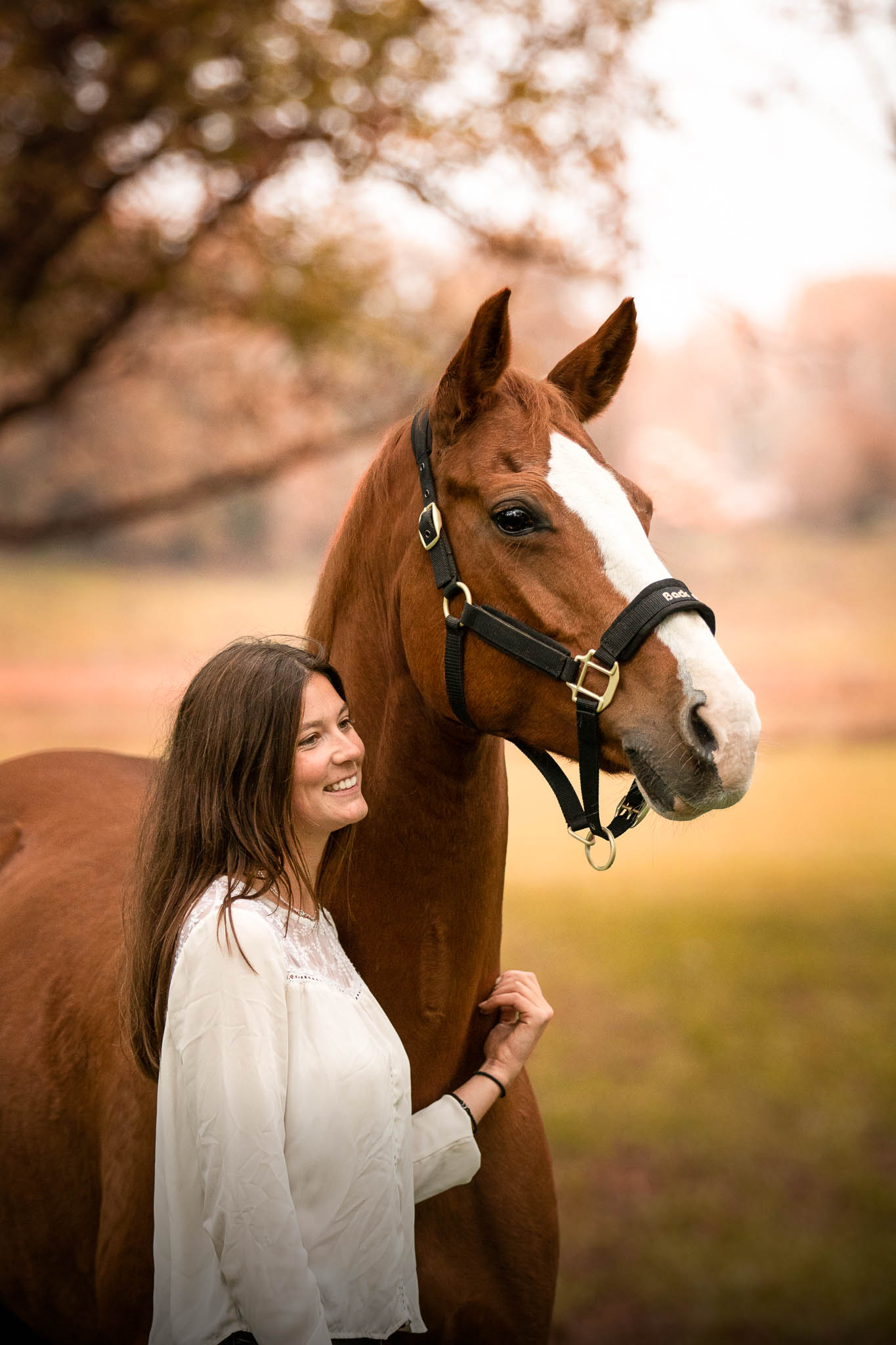 photo cheval