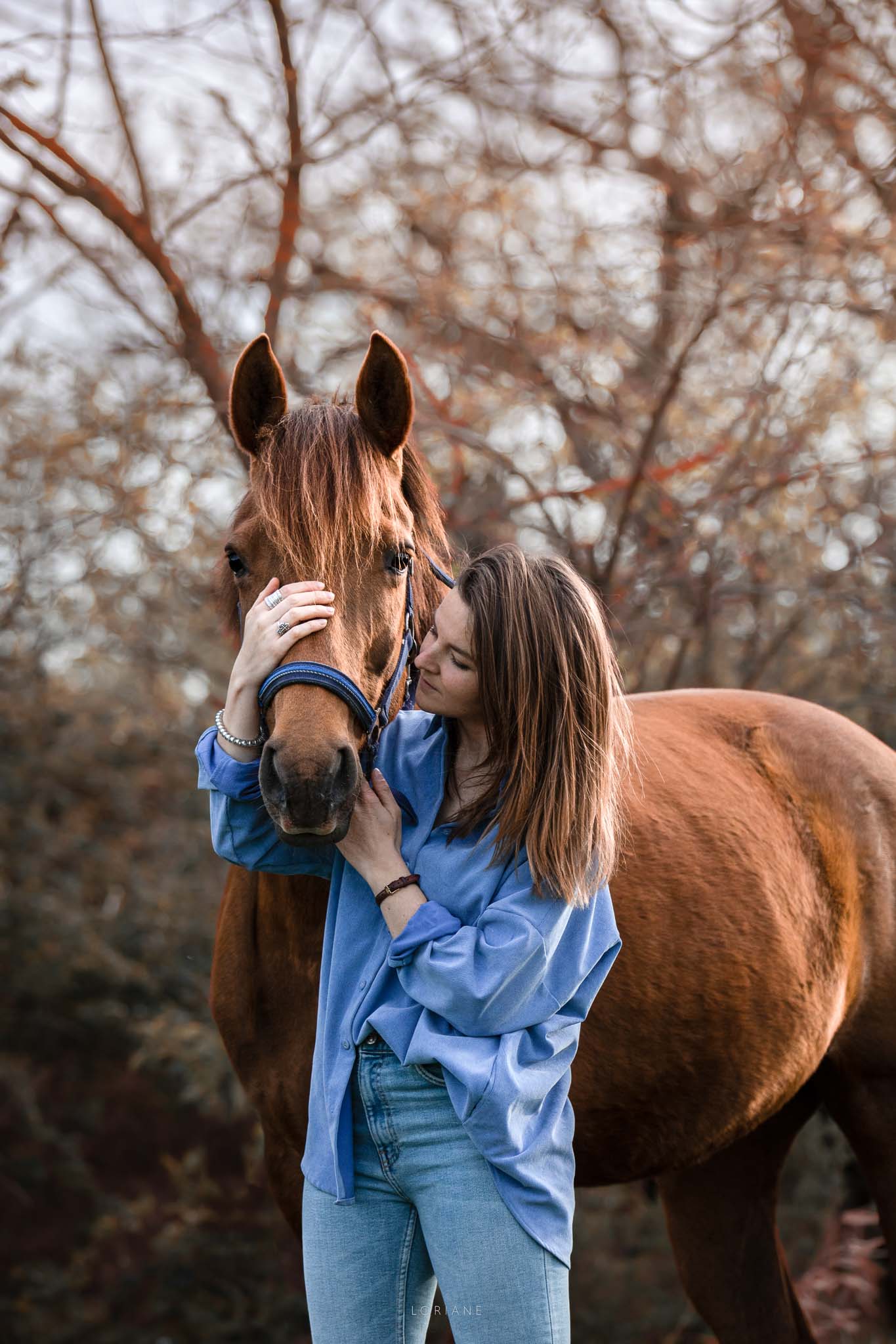 photo cheval