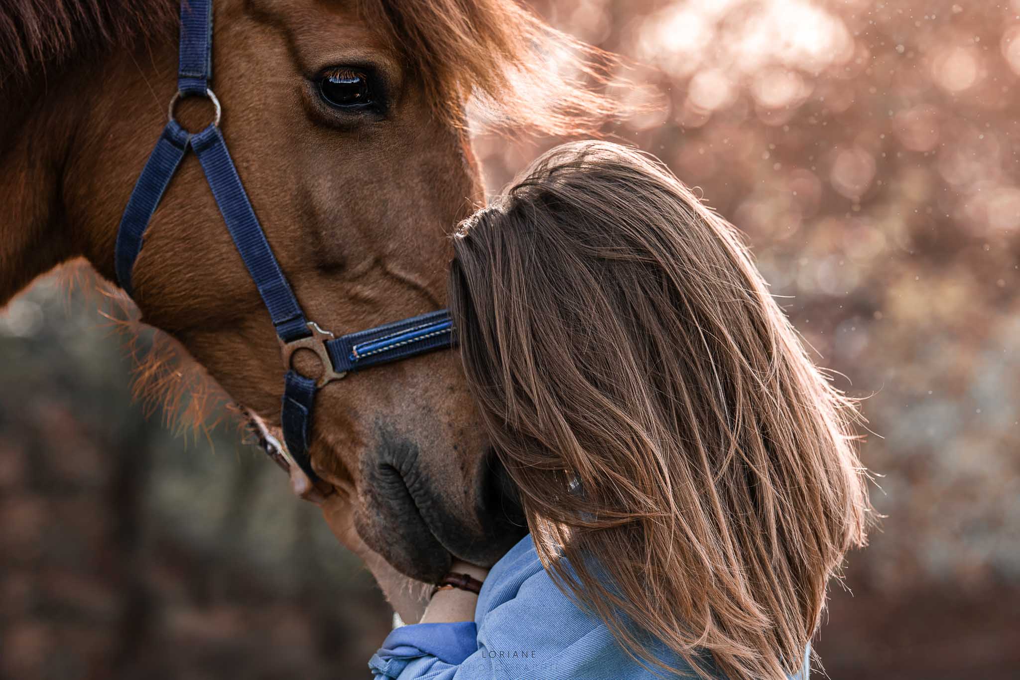 photo cheval