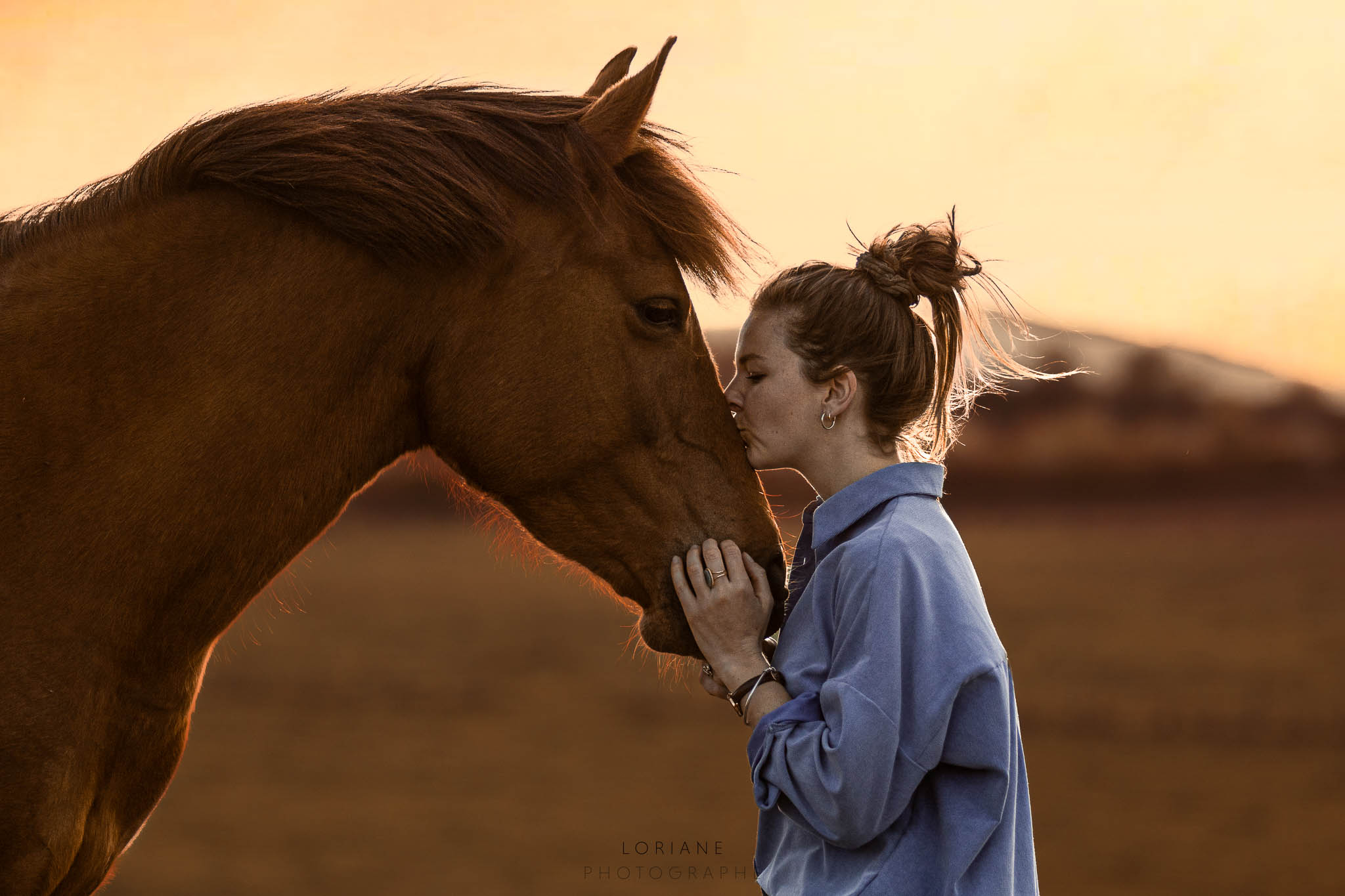 photo cheval
