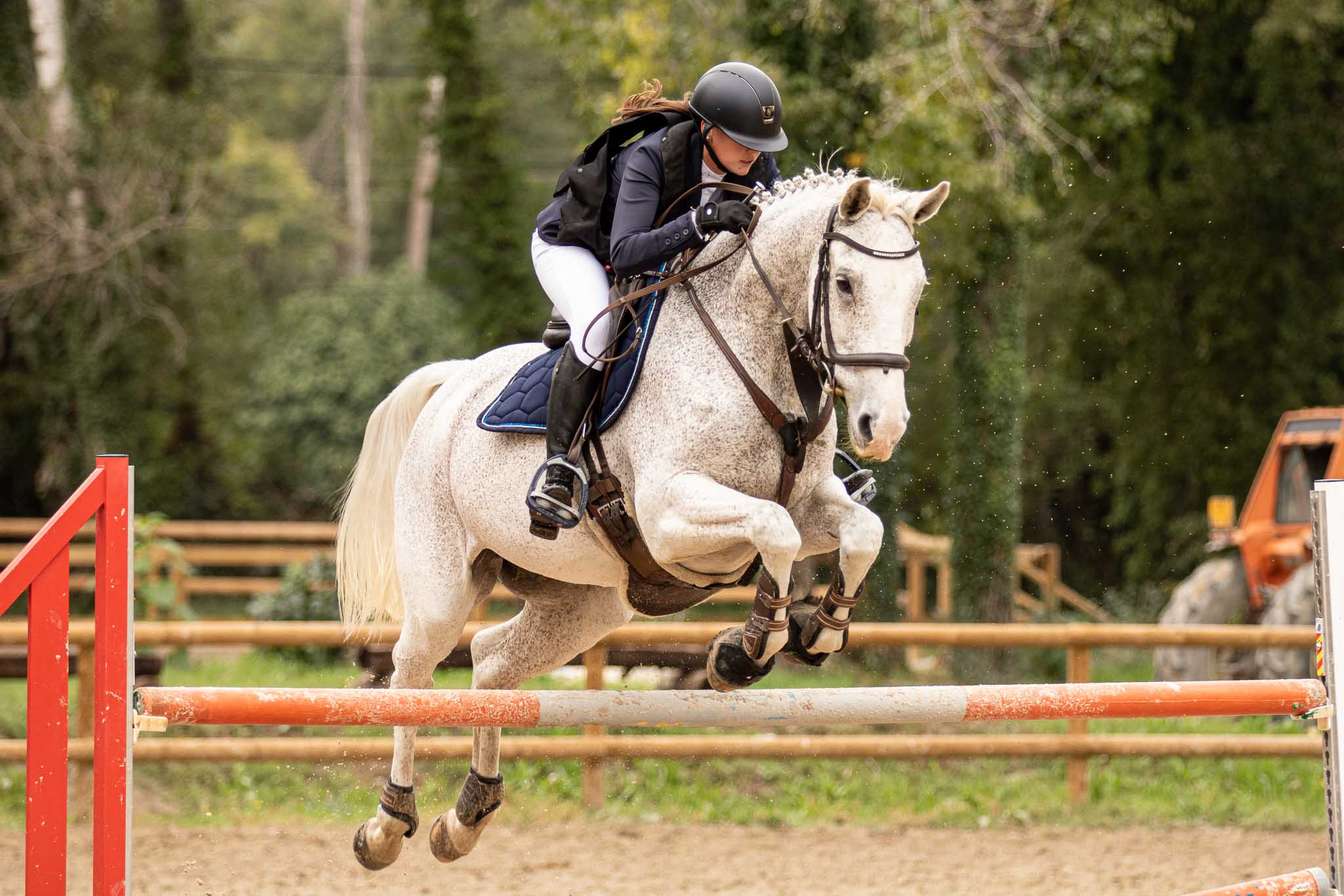 photo concours de sauts d’obstacles