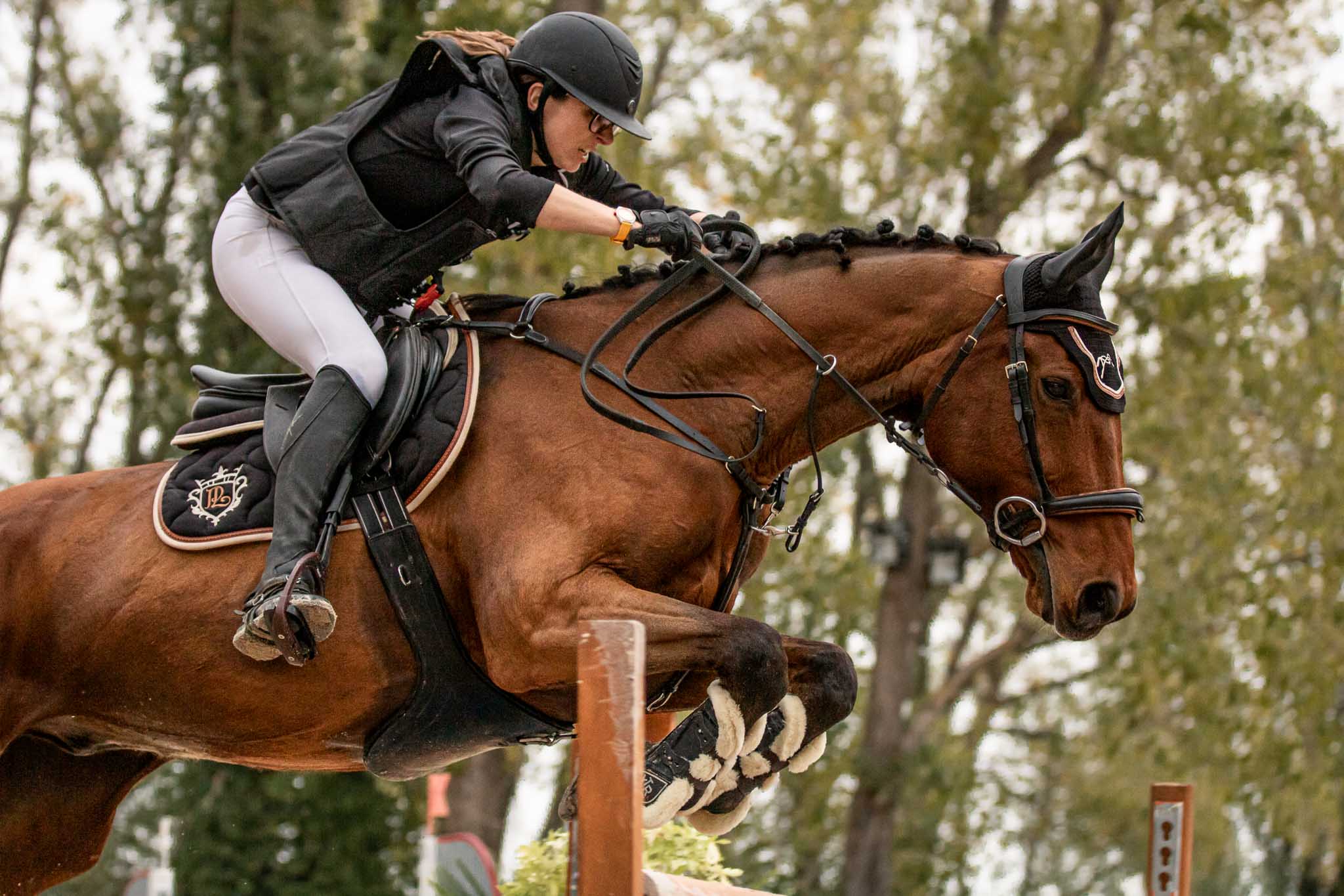 photo concours de sauts d’obstacles
