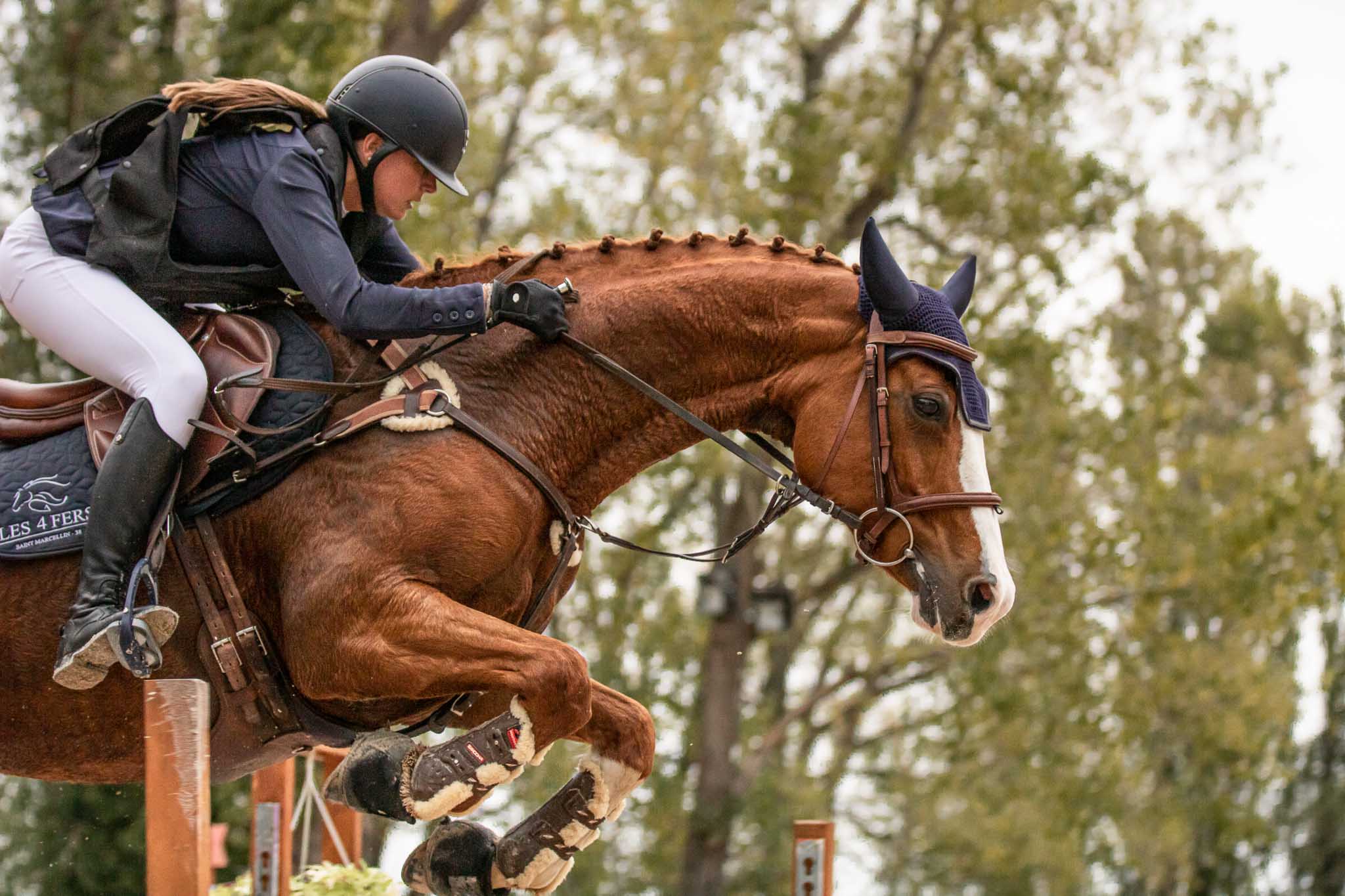 photo concours de sauts d’obstacles