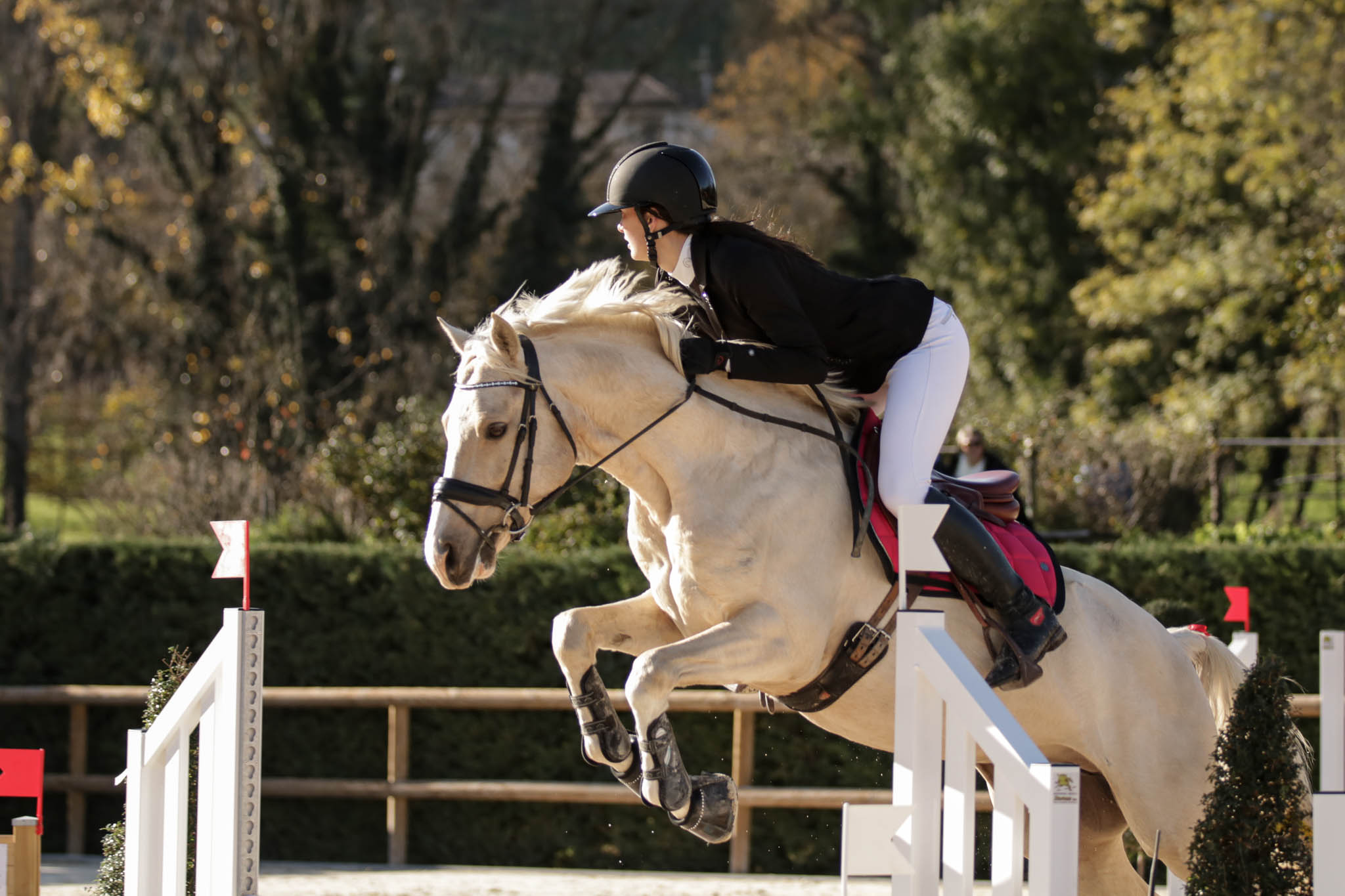photo concours de sauts d’obstacles
