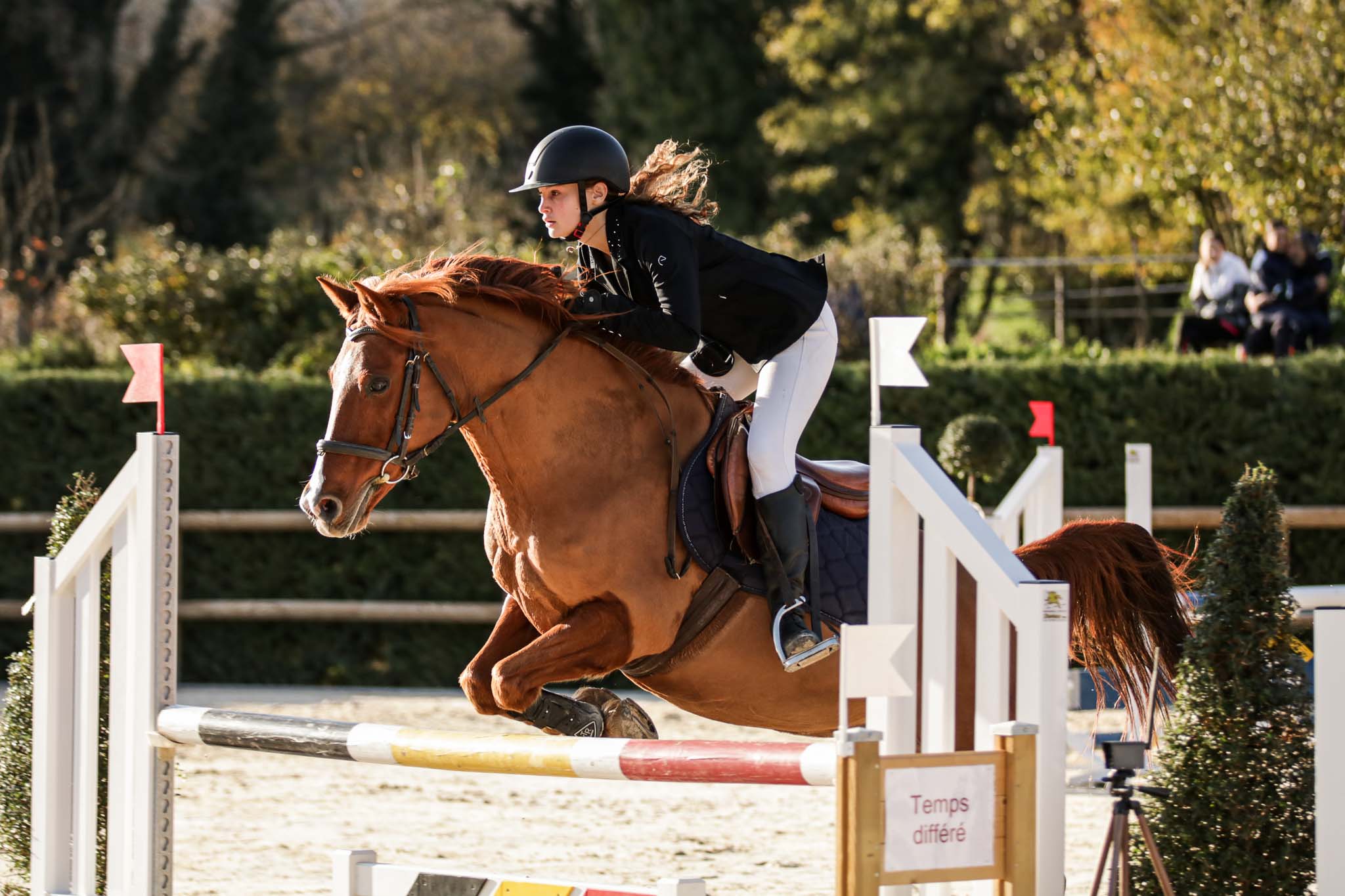 photo concours de sauts d’obstacles