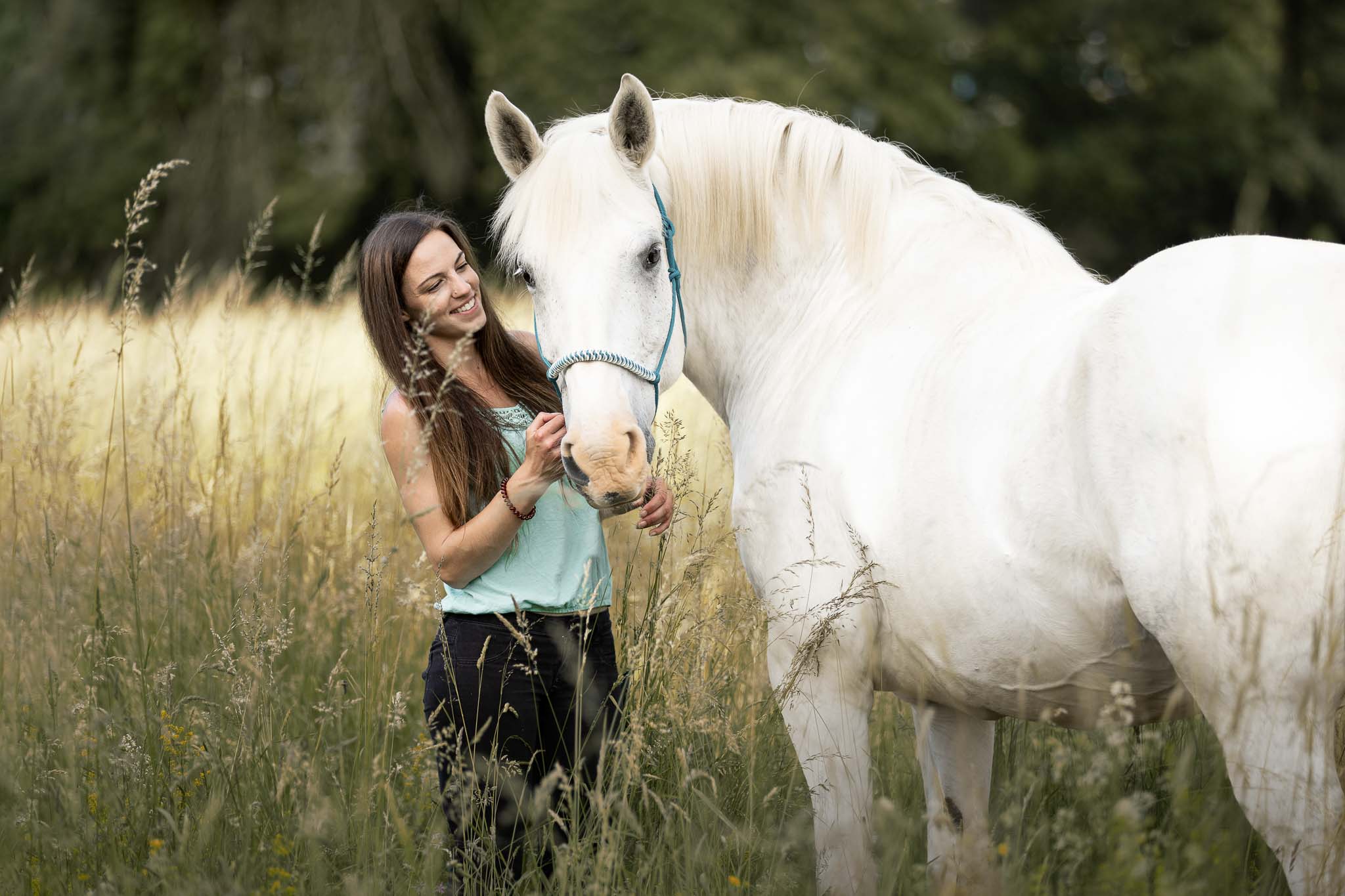 photo cheval