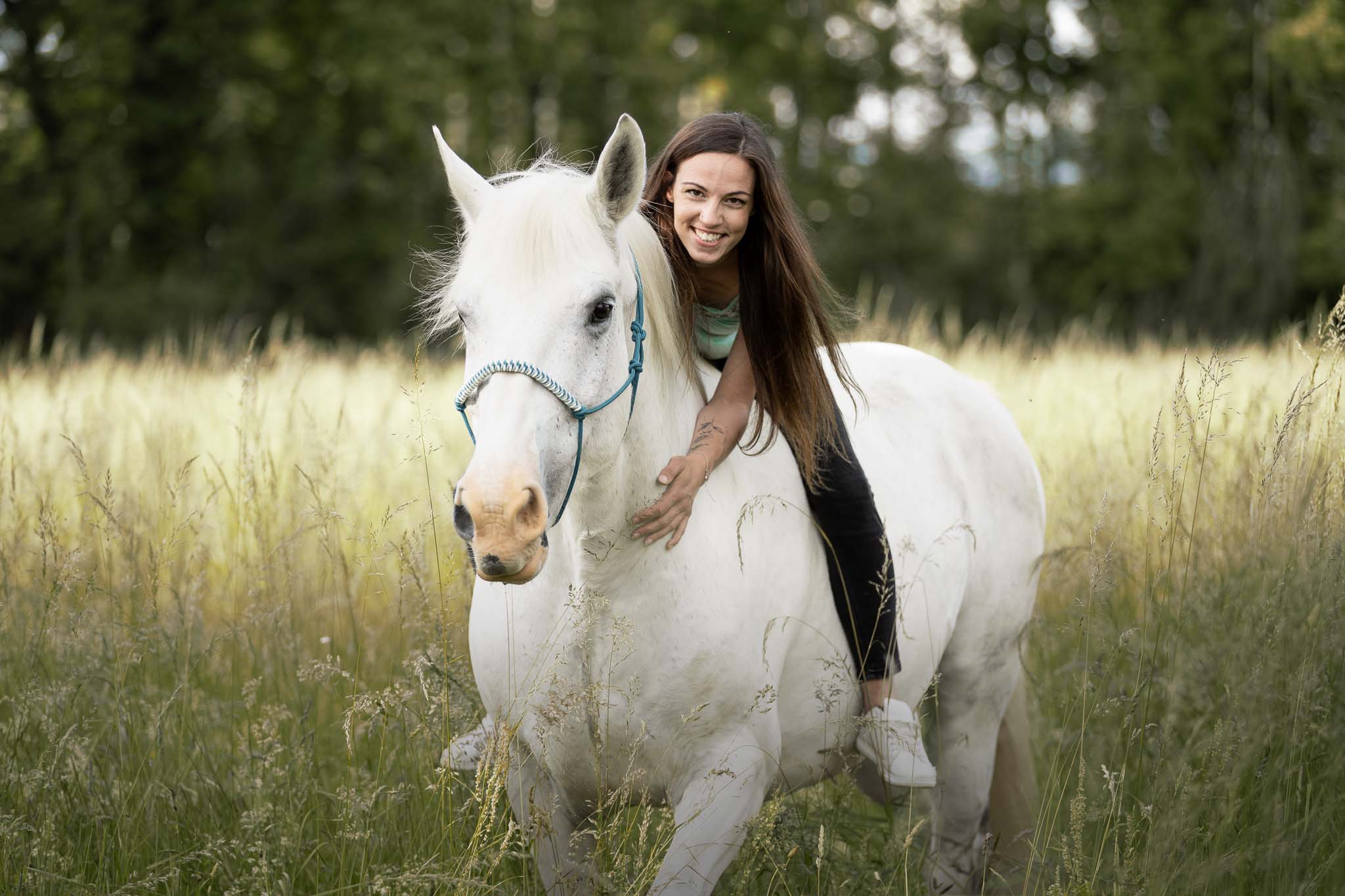 photo cheval
