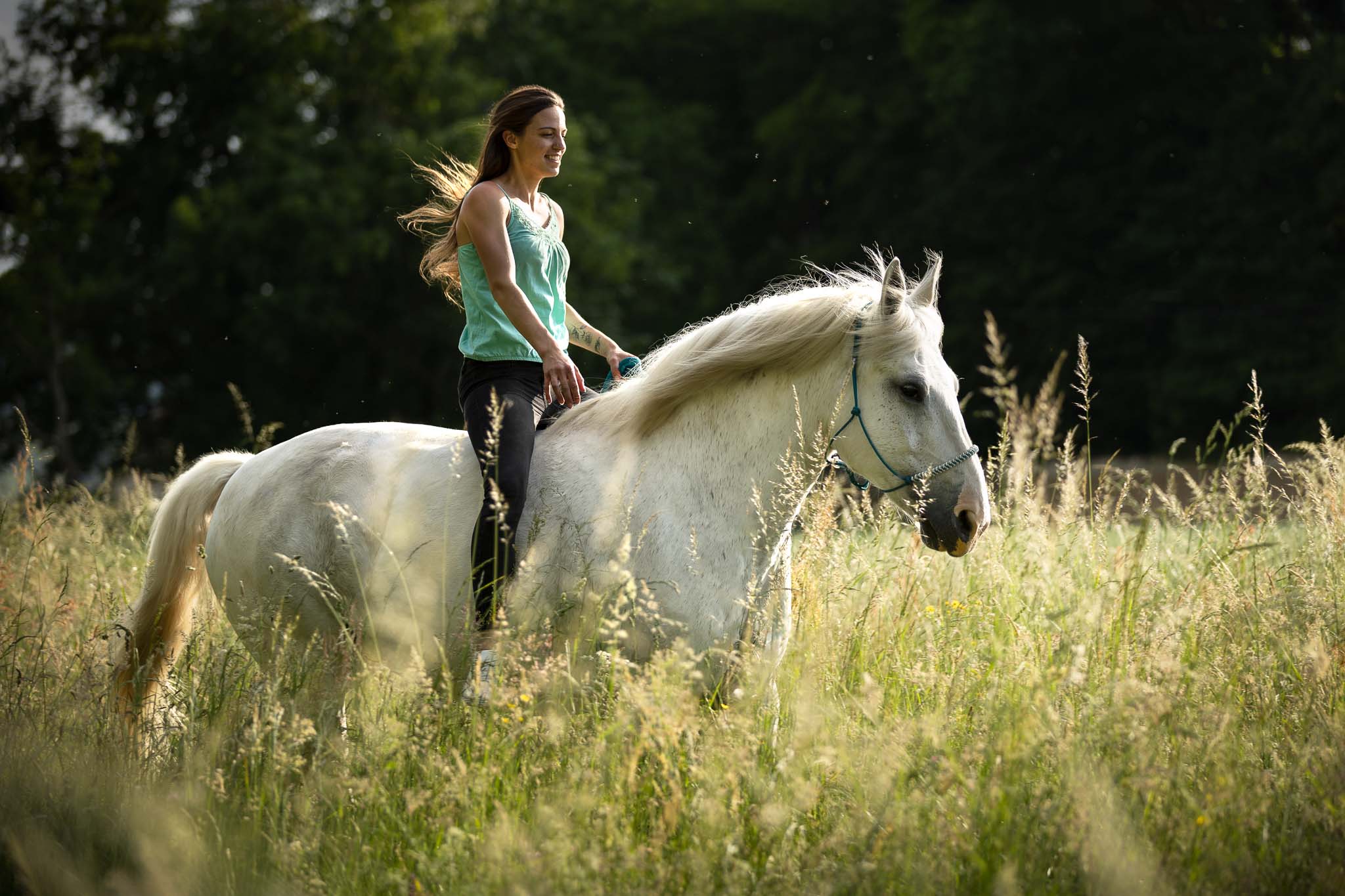 photo cheval