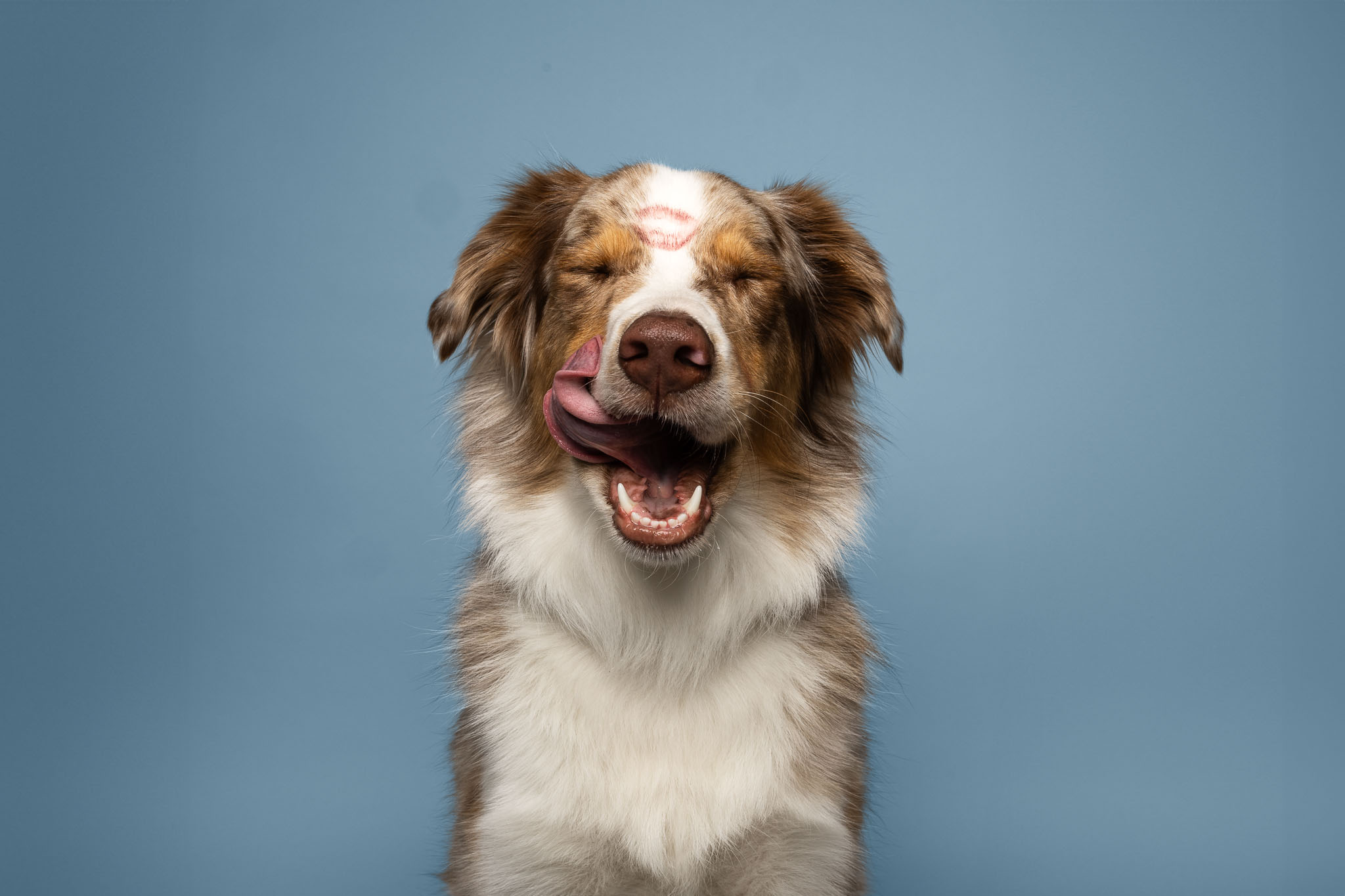 berger australien studio photo
