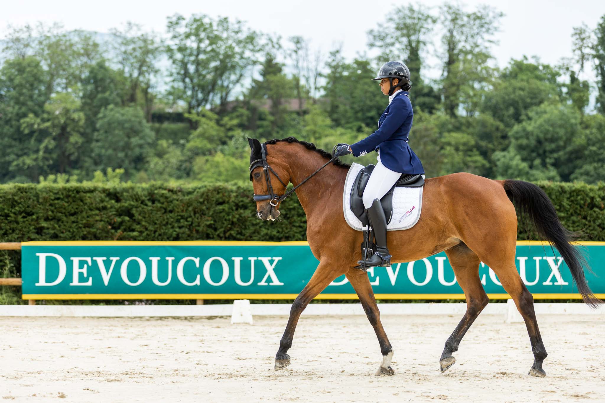 concours dressage