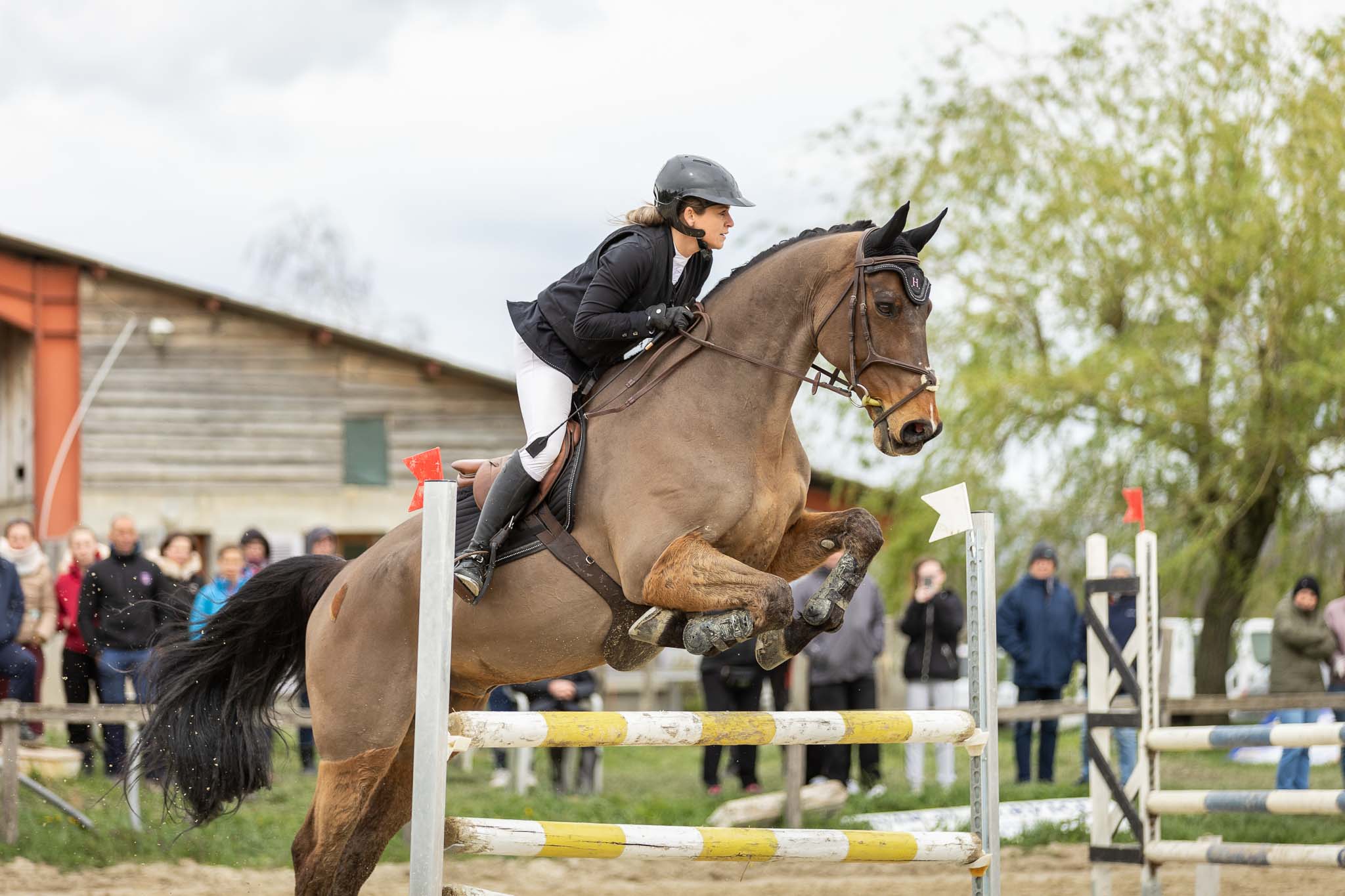 photo cso