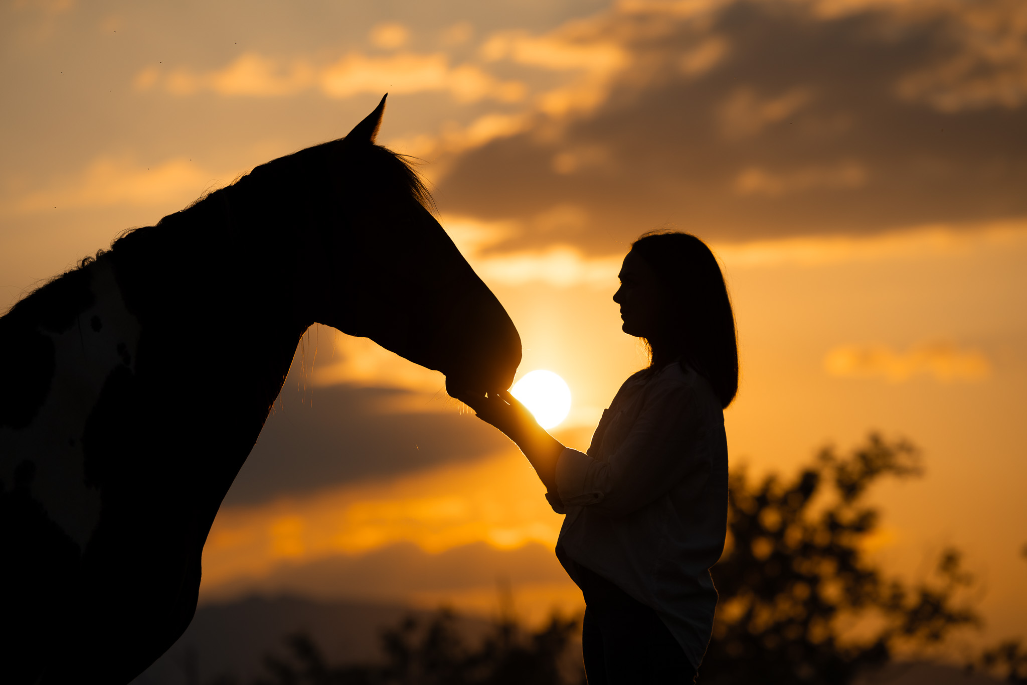 Coucher de soleil cheval