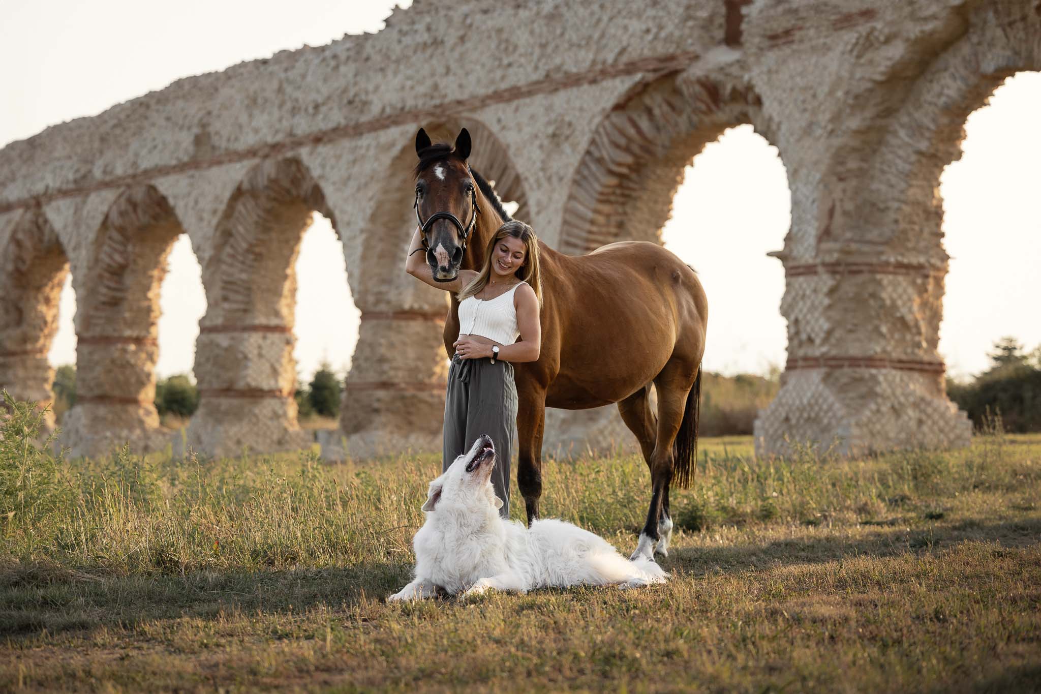 Séance photo cheval chien