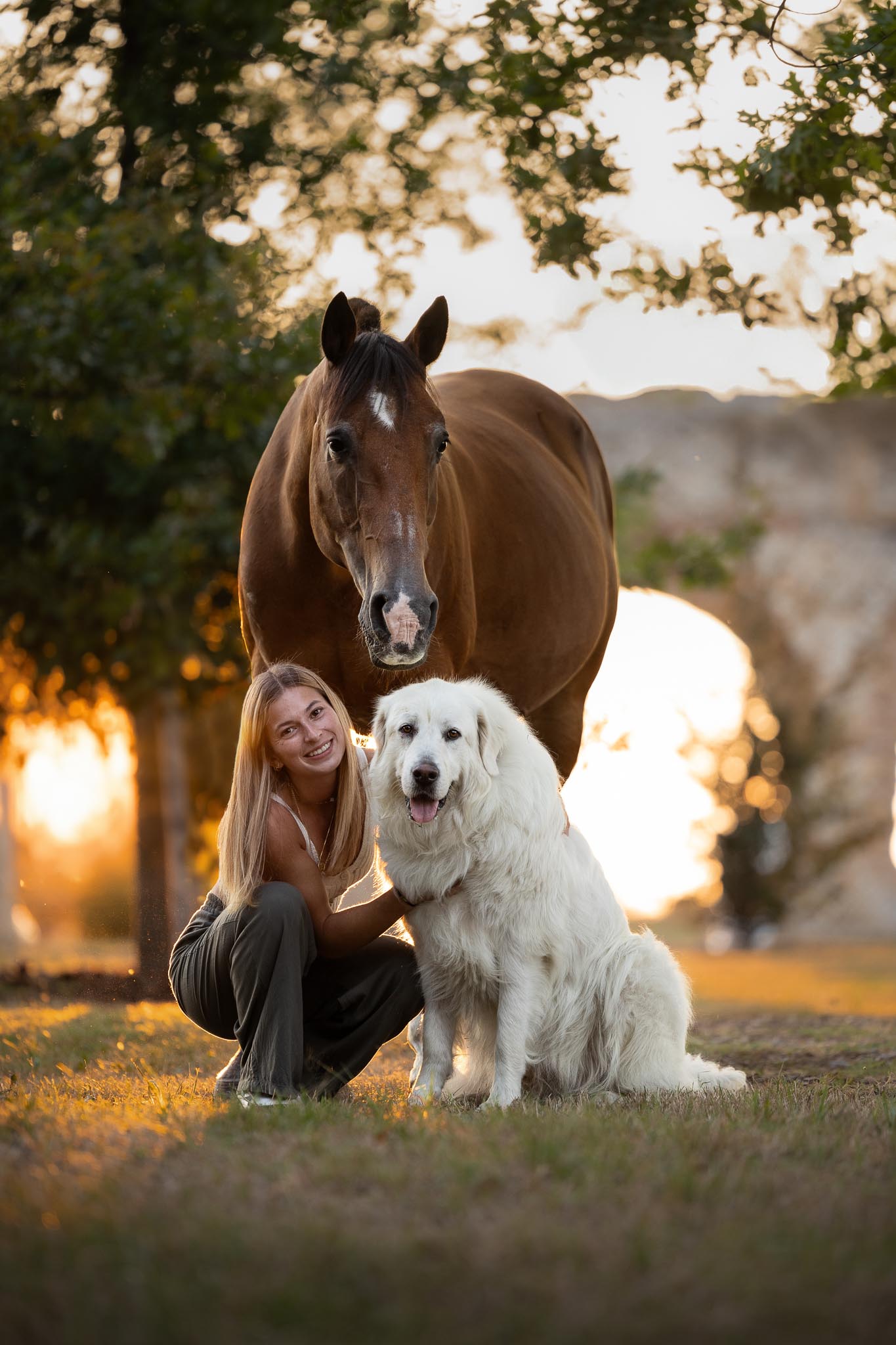 Séance photo cheval chien
