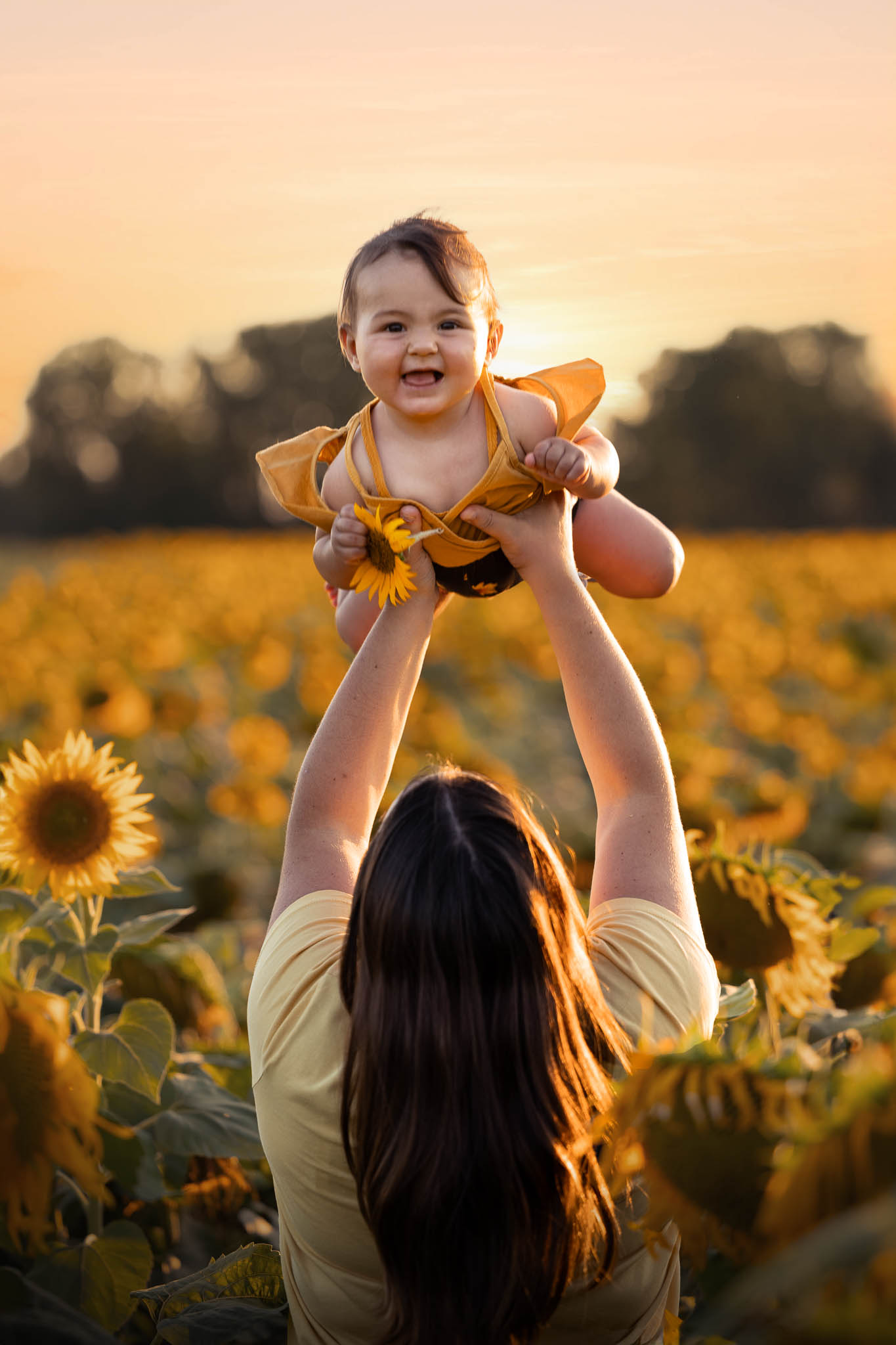 seance photo famille tournesols