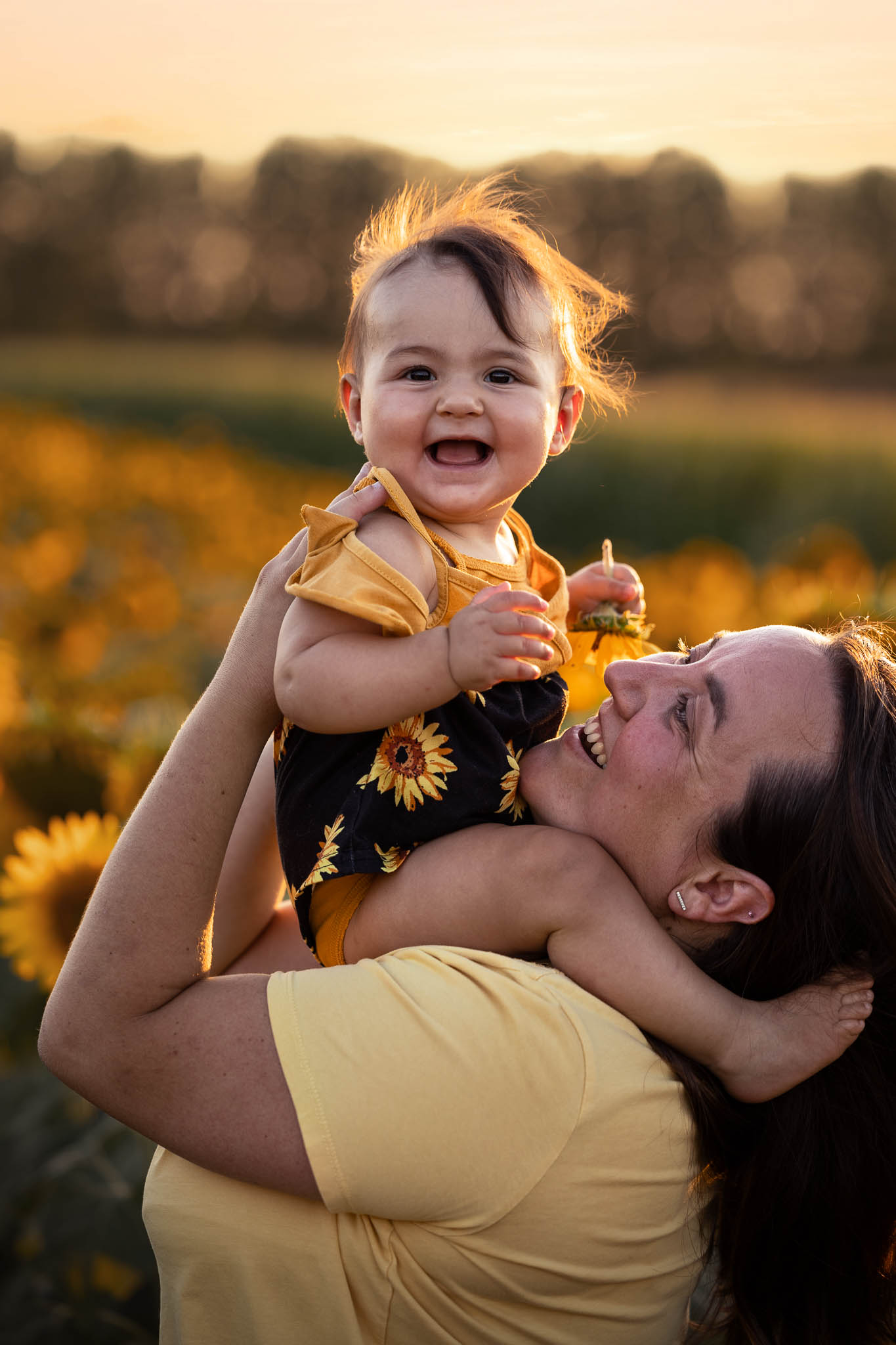 seance photo famille tournesols