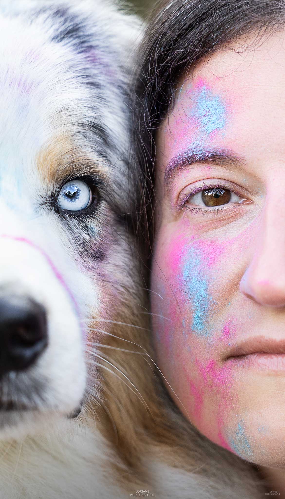Photo chien poudre colorée