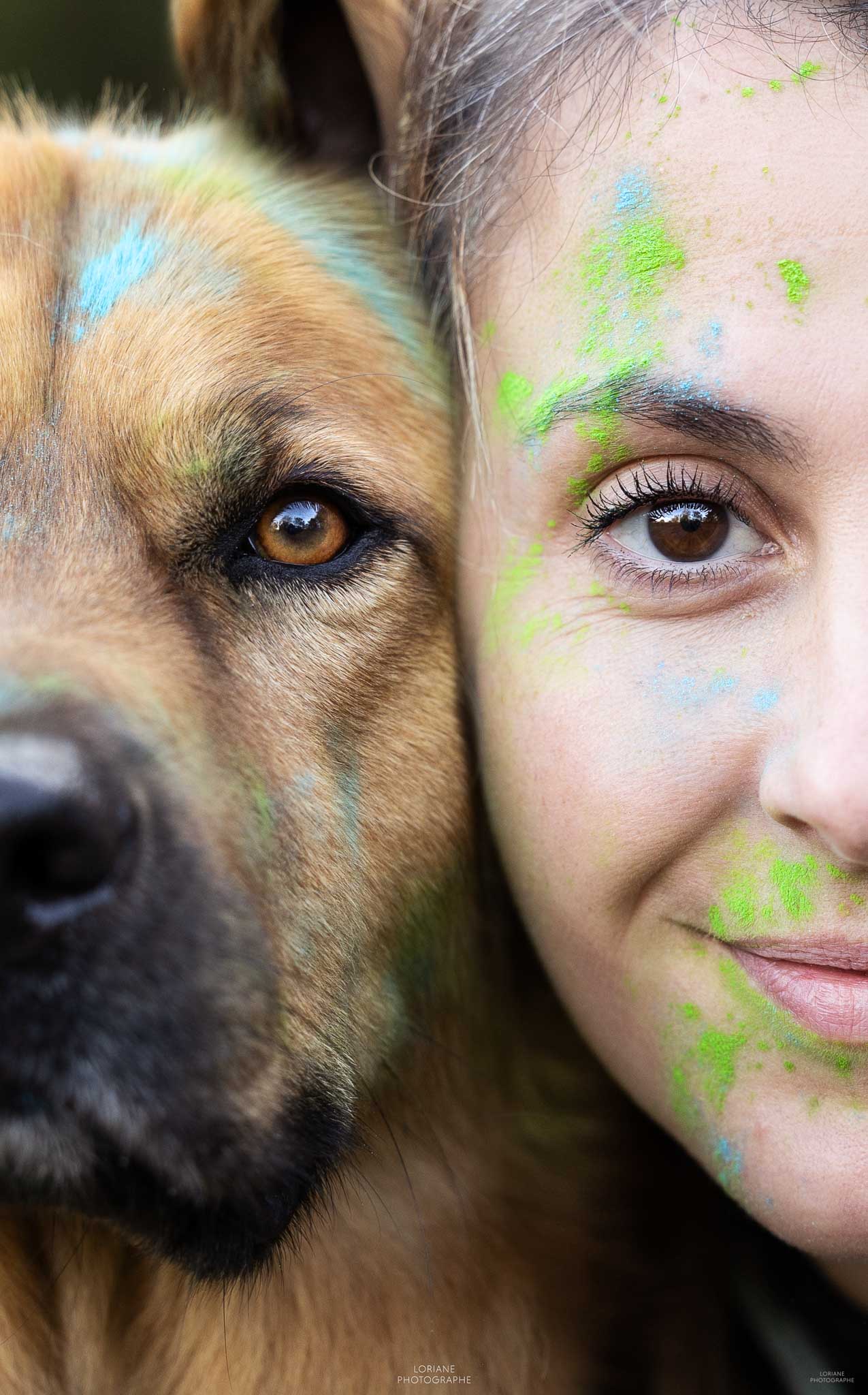 Photo chien poudre colorée