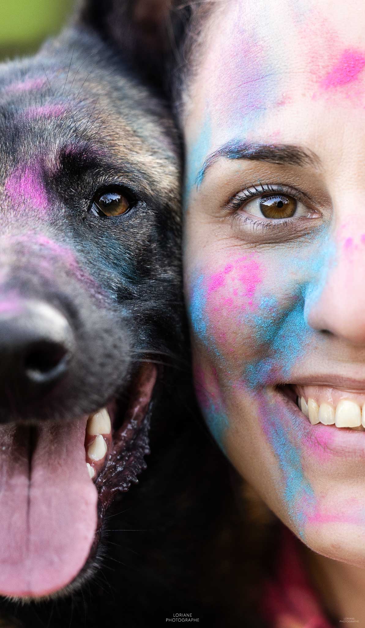 Photo chien poudre colorée