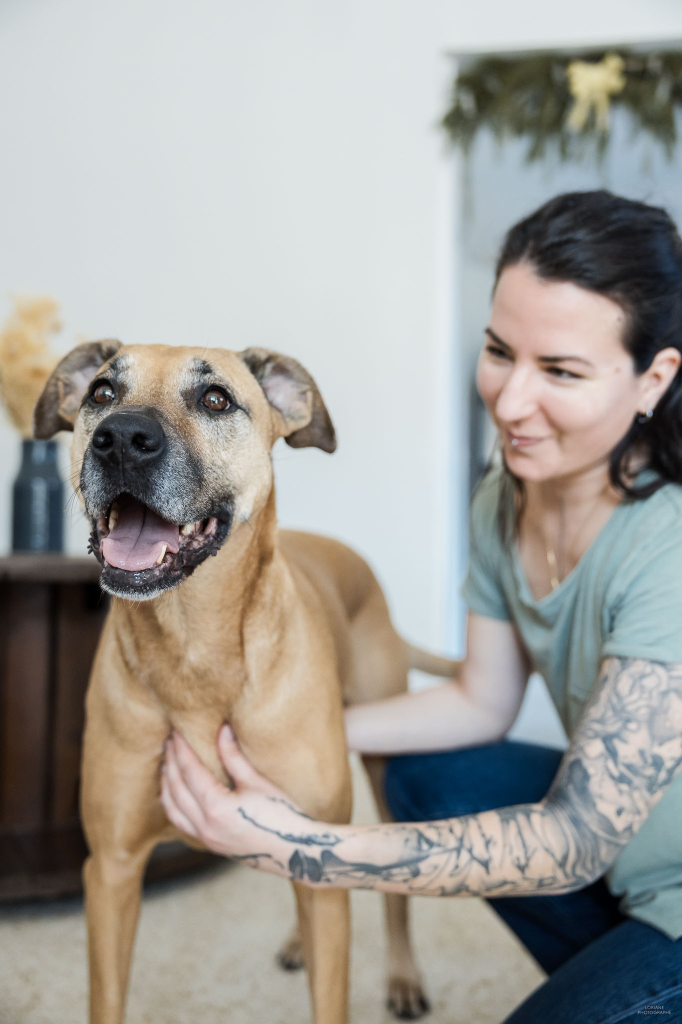 photo ostéopathe animalier lyon