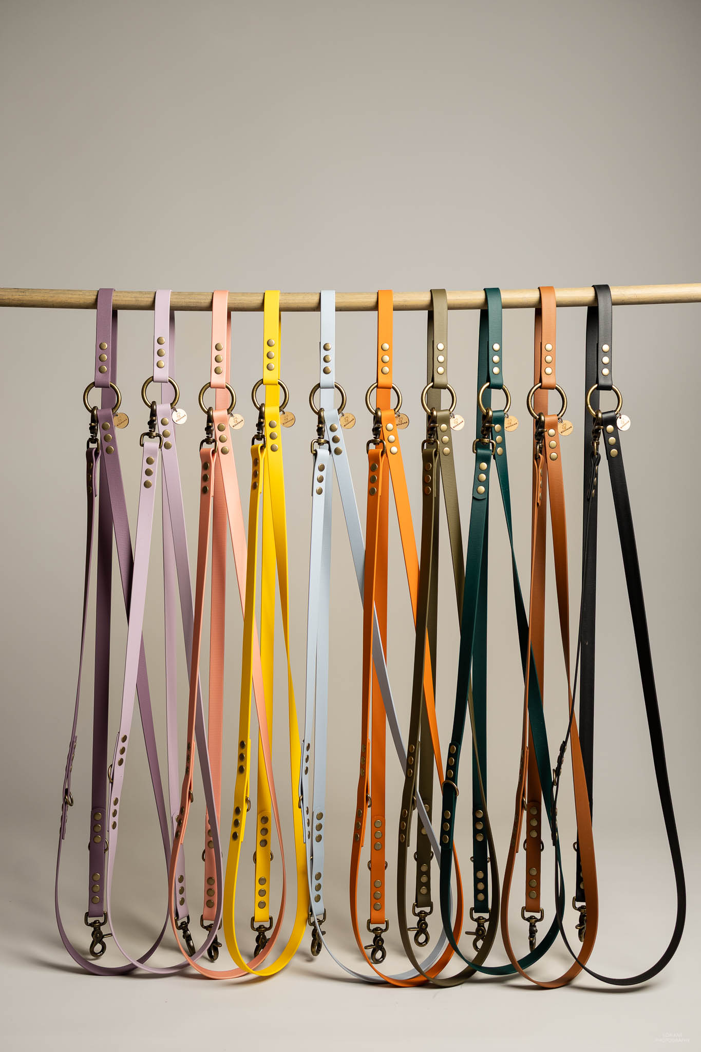 photo marque accessoires canins