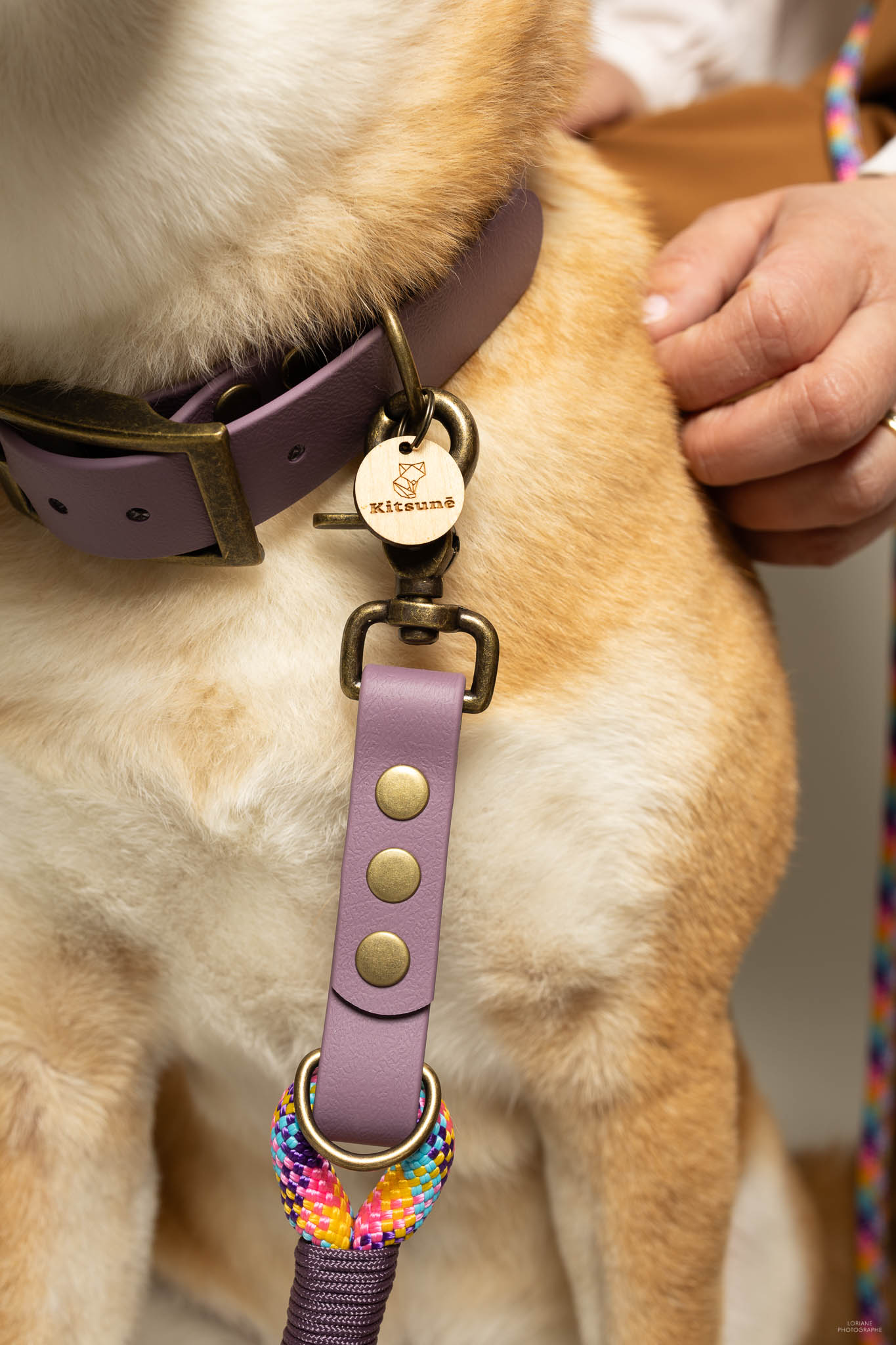 photo marque accessoires canins