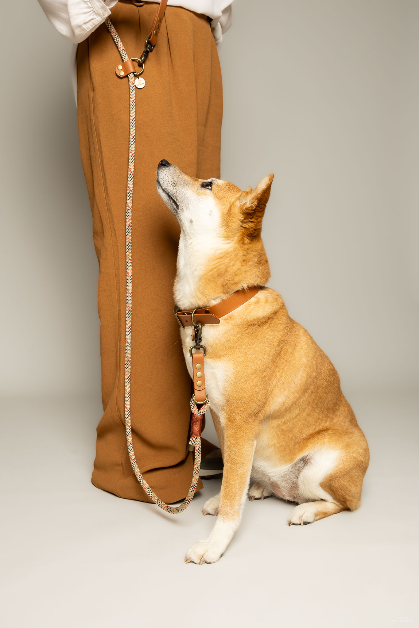 photo marque accessoires canins